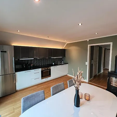 Sentralt Og Nyoppusset Апартаменты Шиен